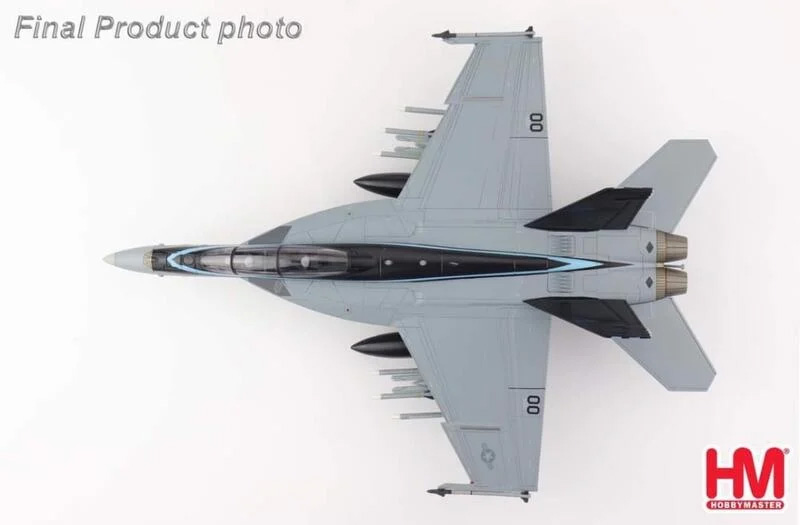 HA5130捍衛戰士獨行俠TOP GUN雙座F/A-18F模型