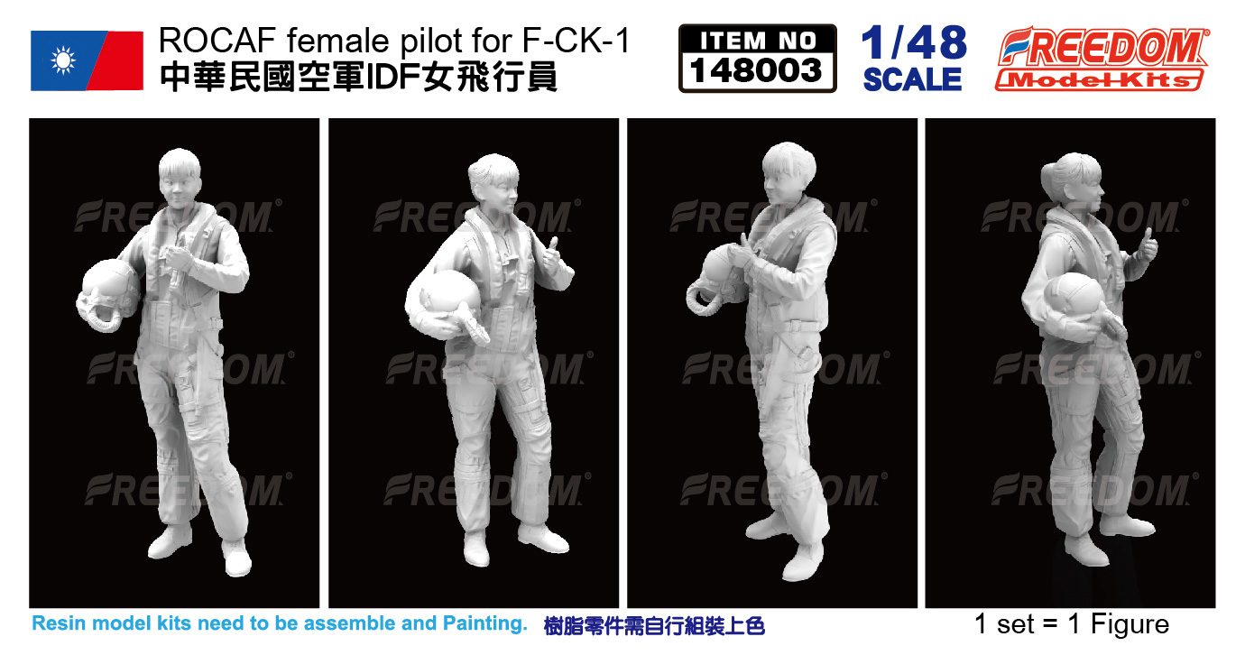 180212空軍台南第一聯隊F-CK-1D(雙座)服役25周年彩繪1/48模型