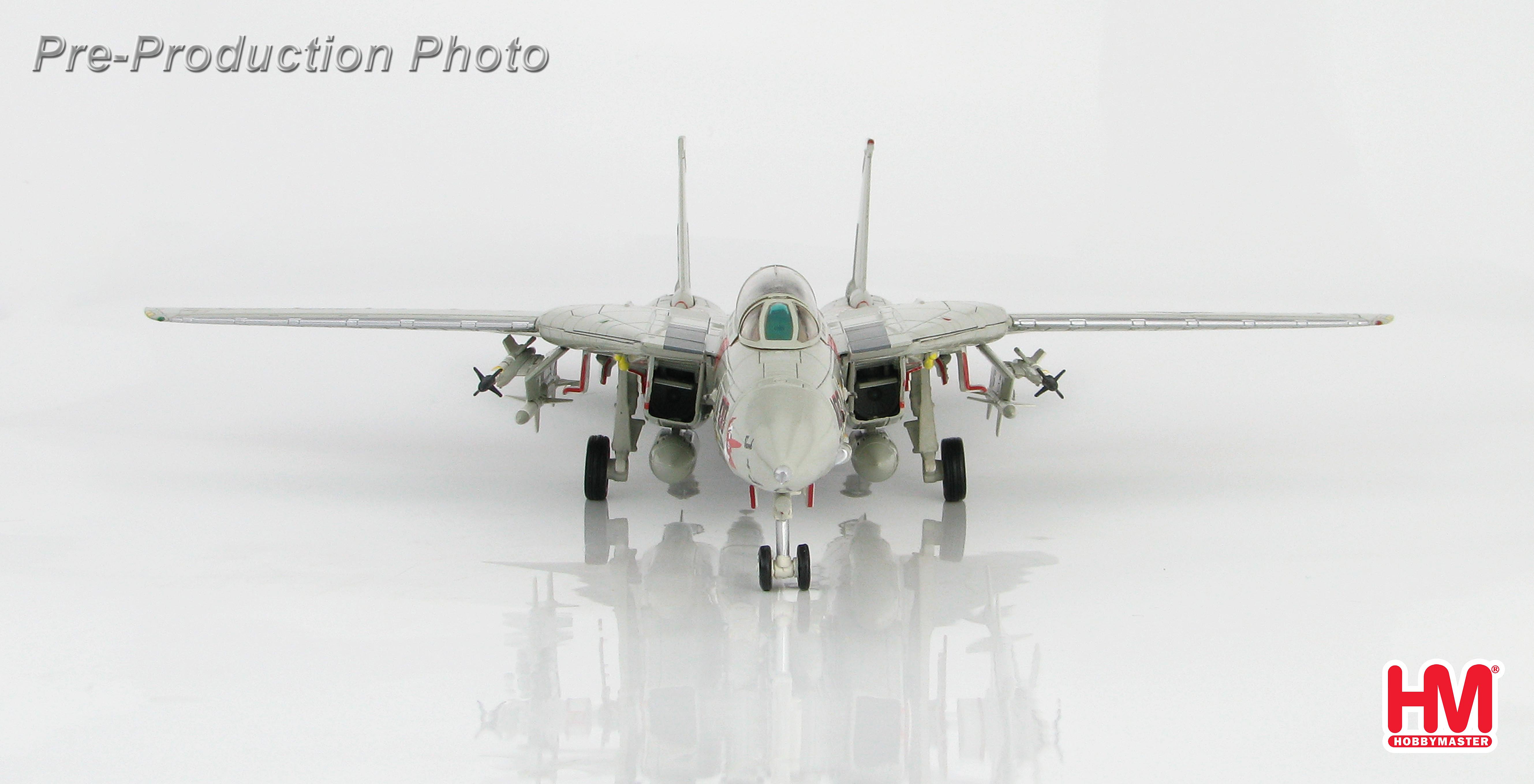 HA5216美軍VF-114 F-14A Aardvarks土豚CAG模型